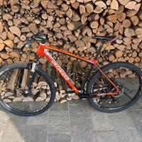 mountain bike specialized