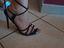 Immagine 6