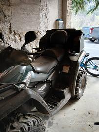 Can-Am Altro modello - 2009