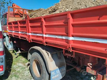 autocarro 145/17 con gru