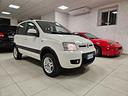 fiat-panda-1-3-mjt-4x4-van-active-trekking-2-posti