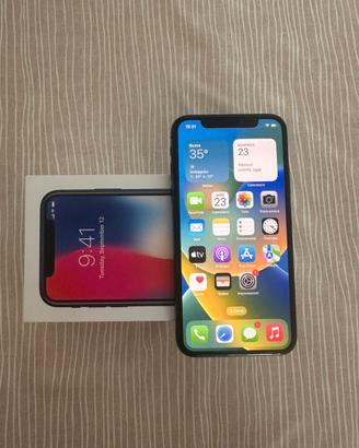 iPhone X