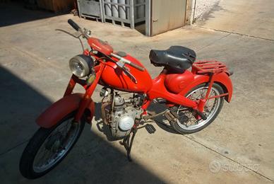 motom 48 