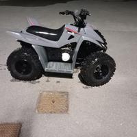 Quad 50