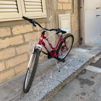 Bicicletta