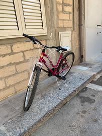 Bicicletta