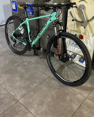 Mtb  megamo