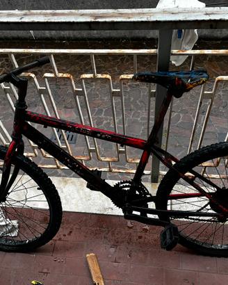 Bici usata