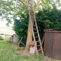 vecchia scala in legno lunga  3,85 metri