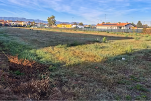 Terreno Agricolo a Prato