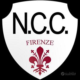 Autorizzazione ncc Firenze