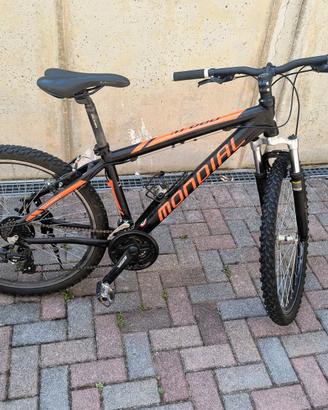 Mountain Bike Cicli Mondial M860 - Ruote 26"