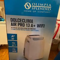 Climatizzatore portatile