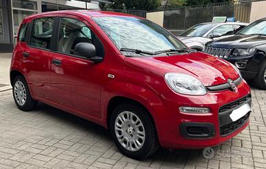 FIAT PANDA 1.0 FIREFLY S&S HYBRID PANDINA - KM 25.