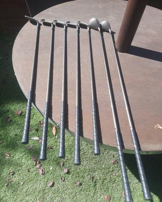Set golf Fenwick 7 mazze graphite Regular