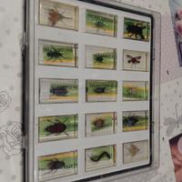 collezione national geographic 