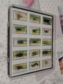 collezione national geographic 