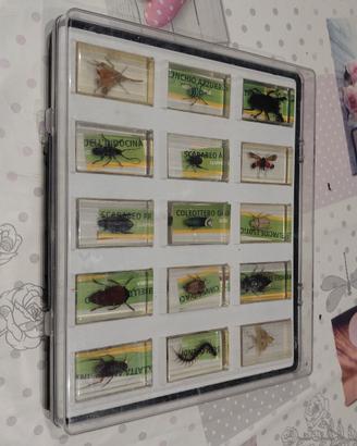 collezione national geographic 
