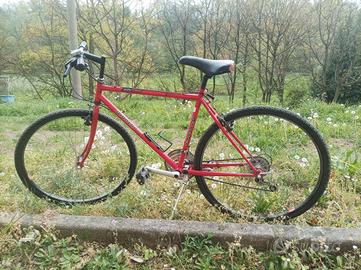 Bicicletta Bianchi rossa 