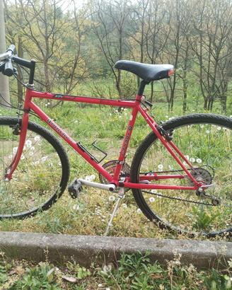 Bicicletta Bianchi rossa 