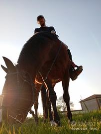 Mezza fida o terzo di fida