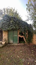 Terreno Versilia