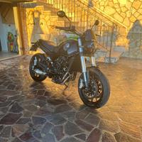 Benelli Leoncino 500