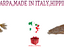 Immagine 6