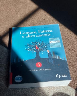 libro di testo di narrativa