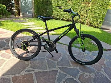 Bici da 20 pollici