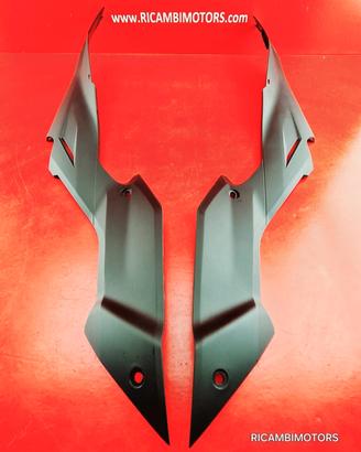 FIANCHETTO DUCATI STREETFIGHTER 1098