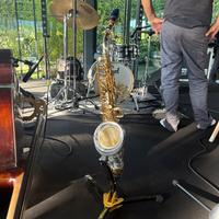 Yanagisawa WO32 Sax Alto