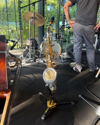 Yanagisawa WO32 Sax Alto