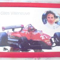 Gilles villeneuve quadro specchio vintage
