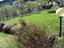 Immagine 15