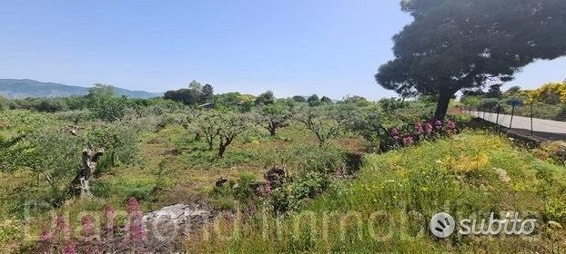 Terreno agricolo 3.200mq zona doc a castiglione - Vista 2