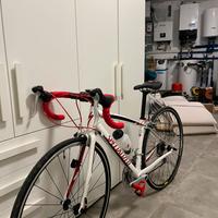 Specialized Dolce Sport