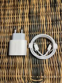 Caricatore 20W Apple + cavo 60W usbc/usbc Apple
