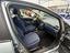 Immagine 8