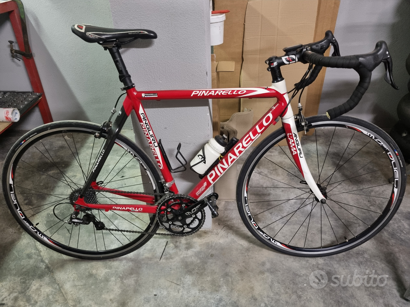 アニメショート PINARELLO ANGLIRU LAMA | www.birbapet.it