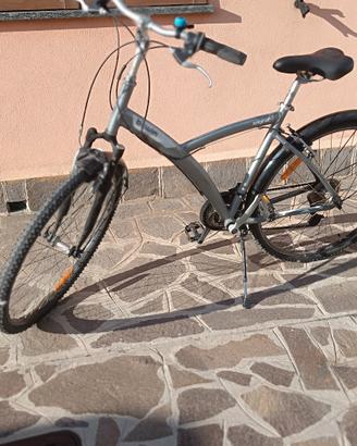 bici city/trekking 