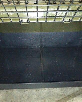 box trasporto cane da auto 