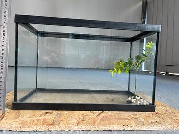 Acquario piccolo