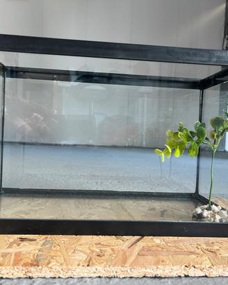 Acquario piccolo
