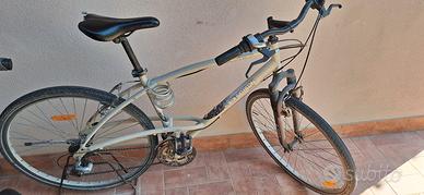 bicicletta adulto 