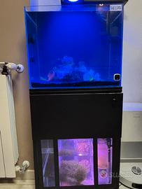 Acquario