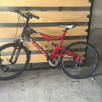 Bicicletta mountain bike