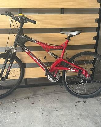 Bicicletta mountain bike