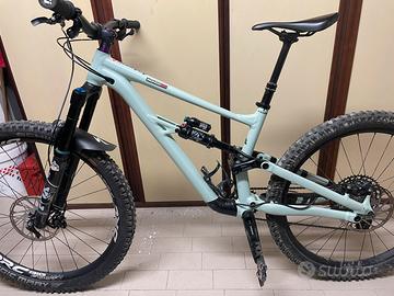 Specialized staus 160 (enduro)