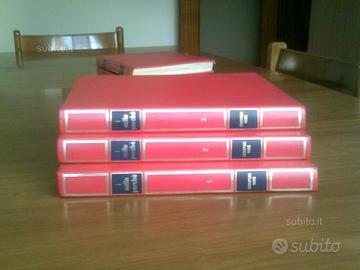 I mille perchè 1971